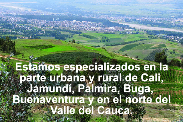 Avisas especialistas en propiedades urbanas y rurales en el Valle del Cauca